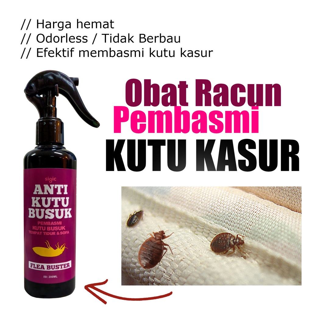 Racun Kutu Busuk Pembasmi Kutu Kasur