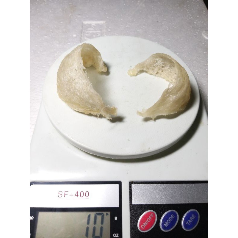 sarang burung walet 10gr