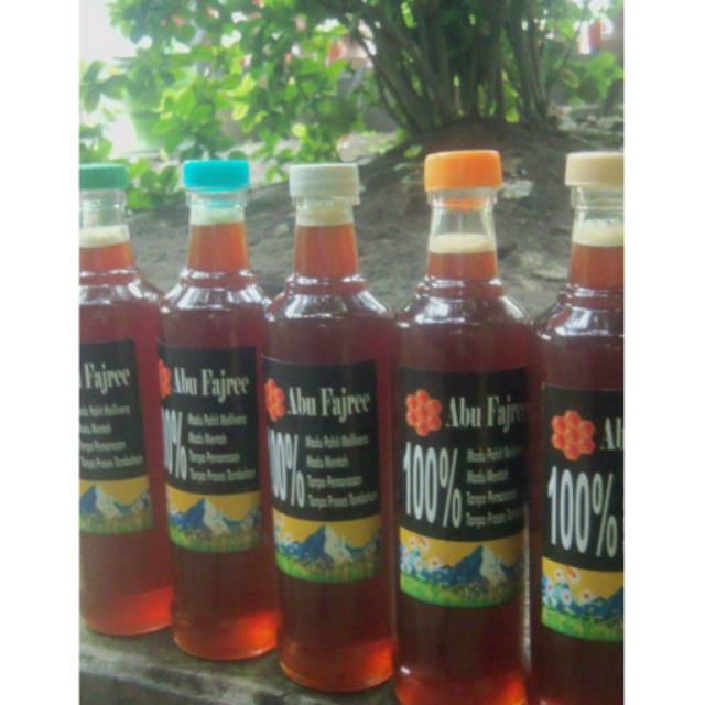 

Madu Pahit Pohon Salam Abu Fajree