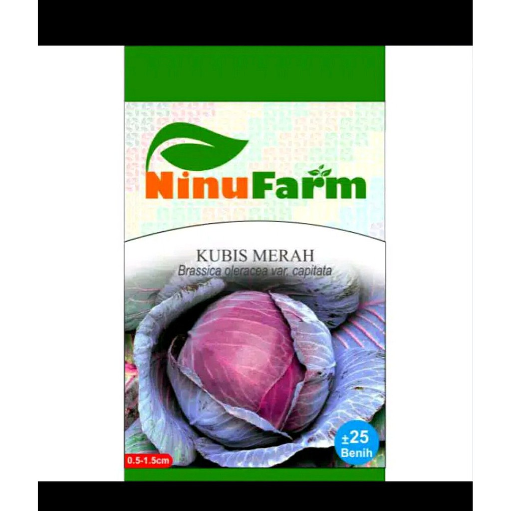 Benih biji bibit kubis kol merah Berkualitas