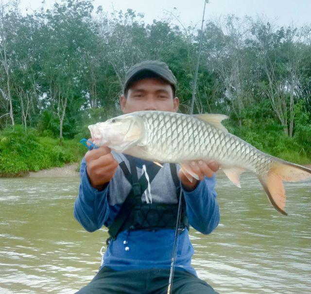 Treble Hook Xenon No 7,8,9,10