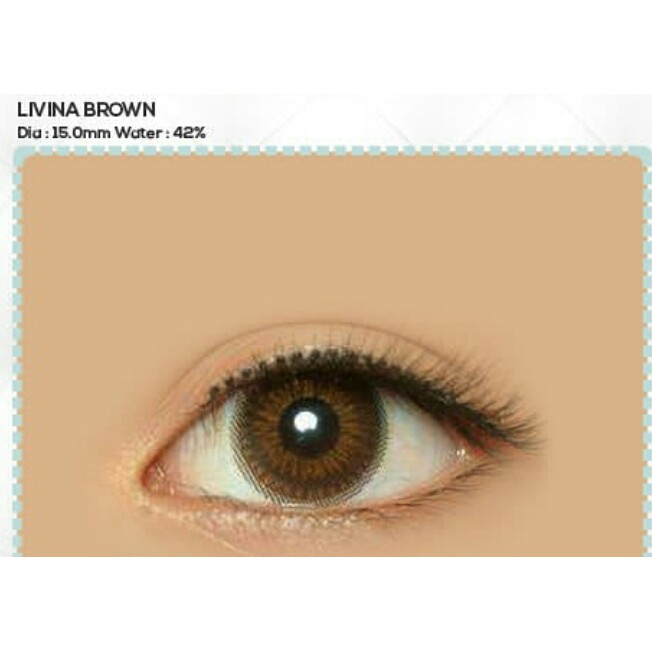 LIVINA BROWN (NORMAL S/D -5.00)