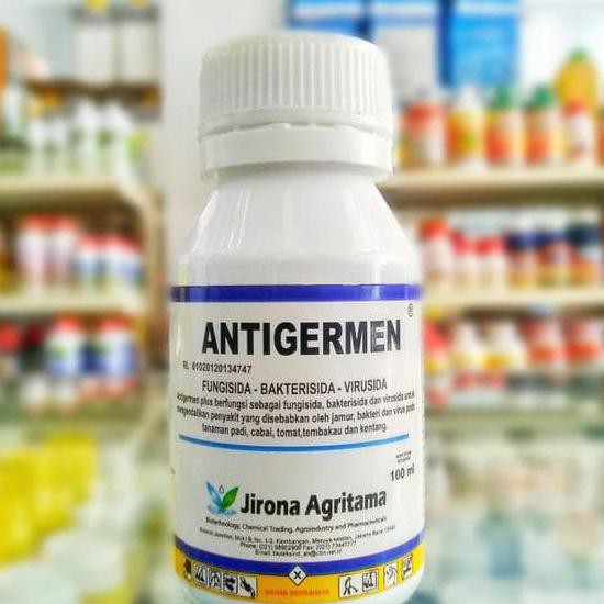 Sp - Antigermen 5 Bahan Aktif Fungisida - Bakterisida Obat Aglonema
