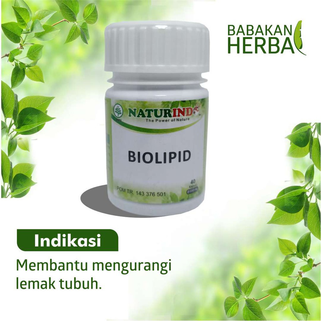 

Naturindo BIOLIPID Babakan Herbal Obat Herbal Mengurangi Lemak Tubuh