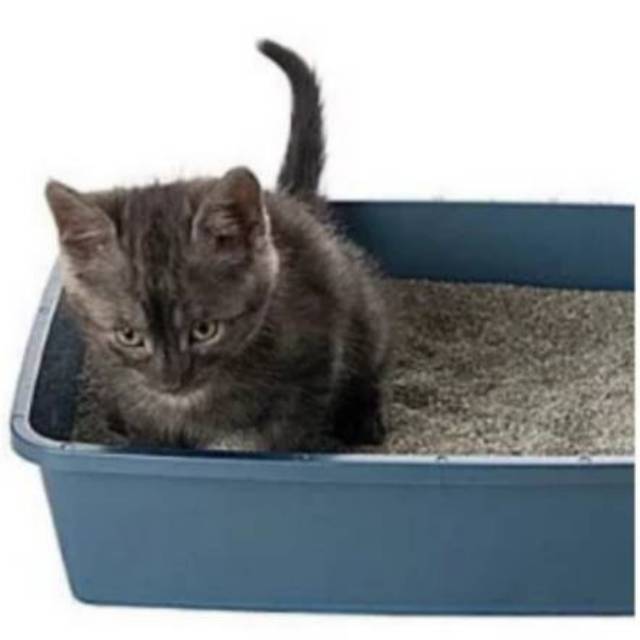 Cat litter box/bak pasir kucing/bak segi empat besar