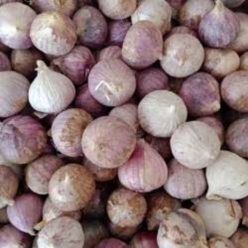 

Bawang Putih TunggaL 250 gram