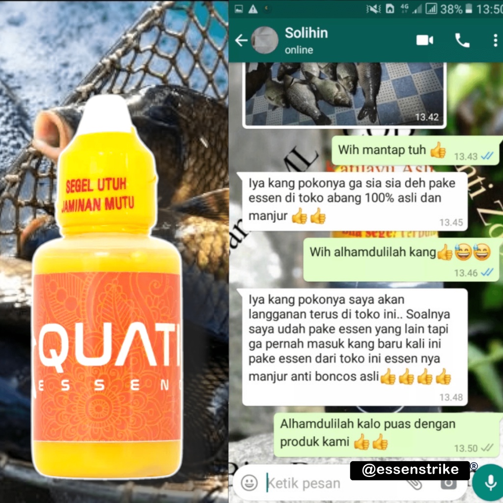 Essen Ikan Mas Harian Paling Bagus - Essen Ikan Mas Rame - Essen Mas Kilo Gebrus