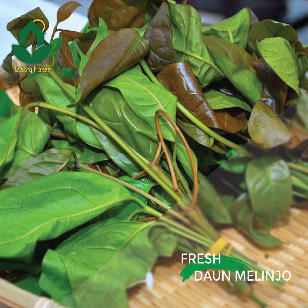 

Sayur Daun Melinjo 250gram