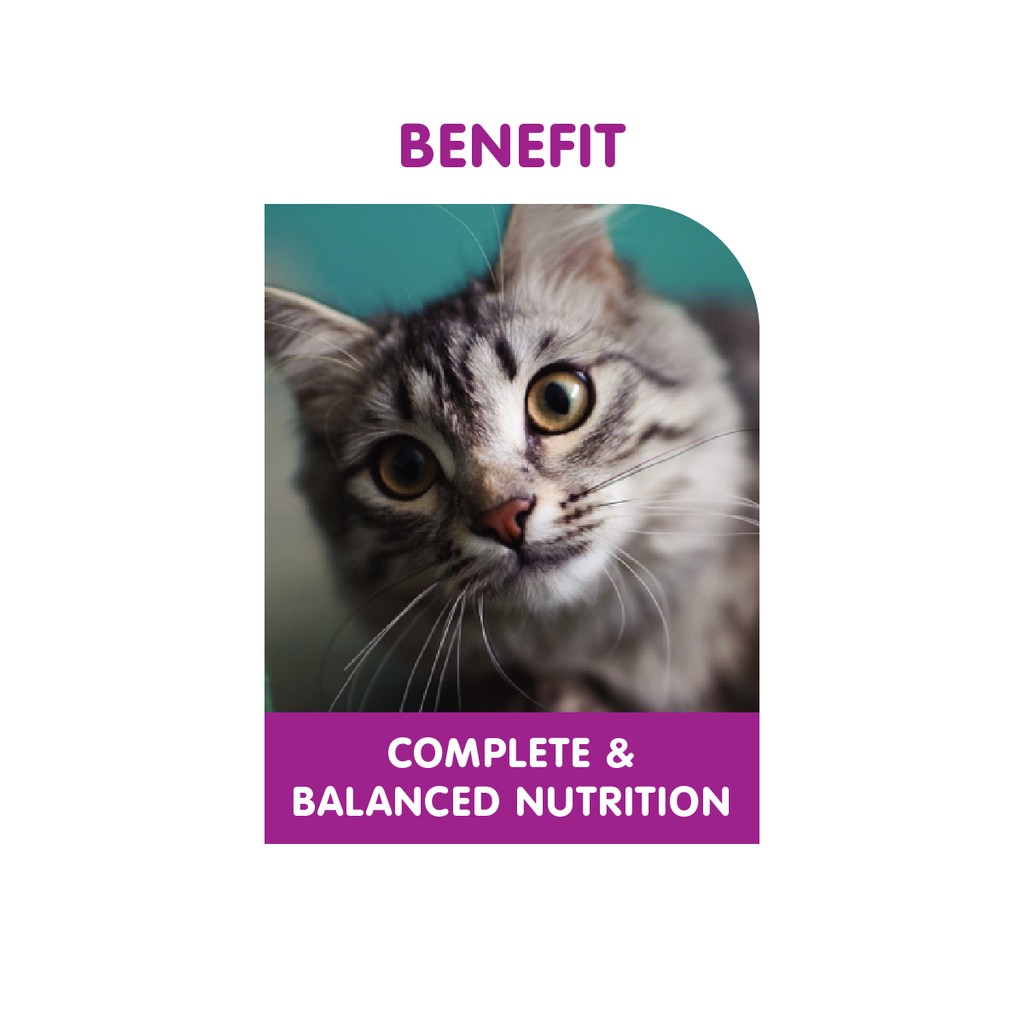 WHISKAS® Makanan Kucing Basah Pouch Junior Starter Pack rasa Mackerel 80gr - Isi 3-4