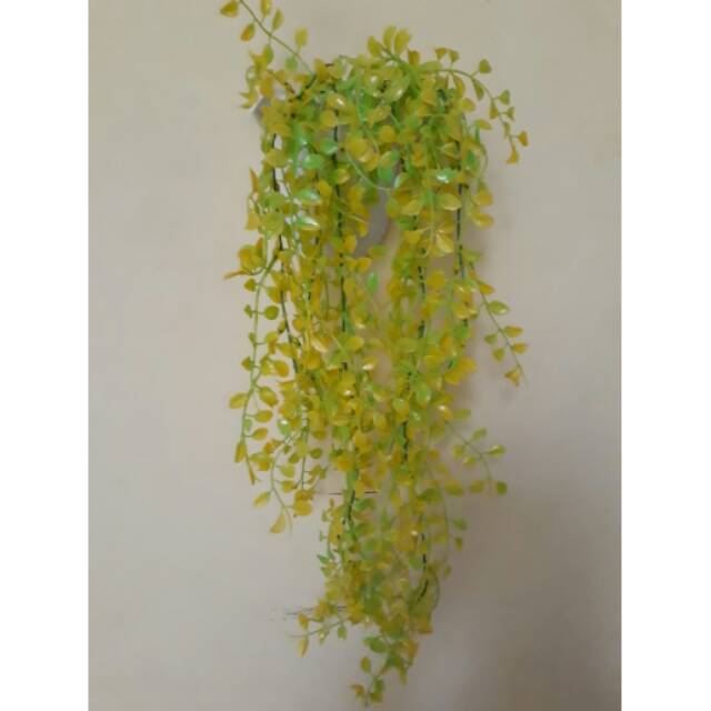 Bunga juntai dinding+pot dinding (set)