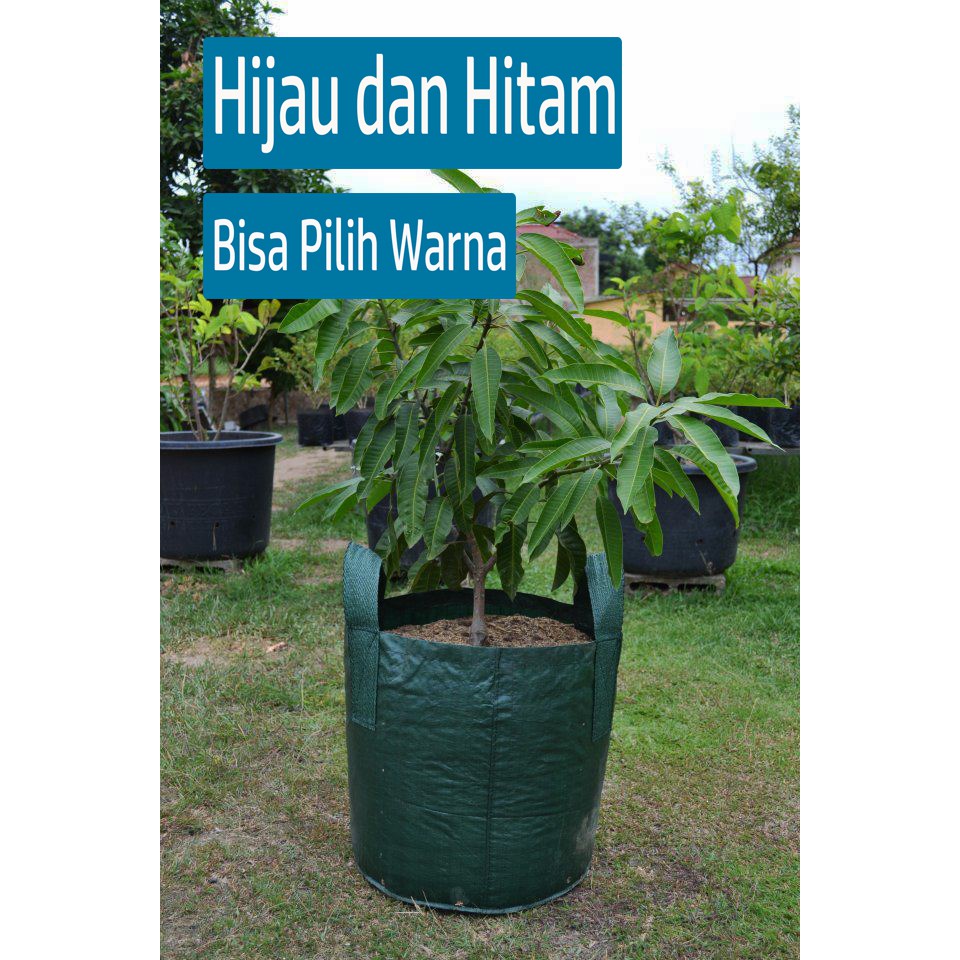 Planter bag 150 Liter EASY GROW planterbag 150liter easygrow kantong Pot polybag semai benih bibit Tanaman bunga sayuran buah planter bag