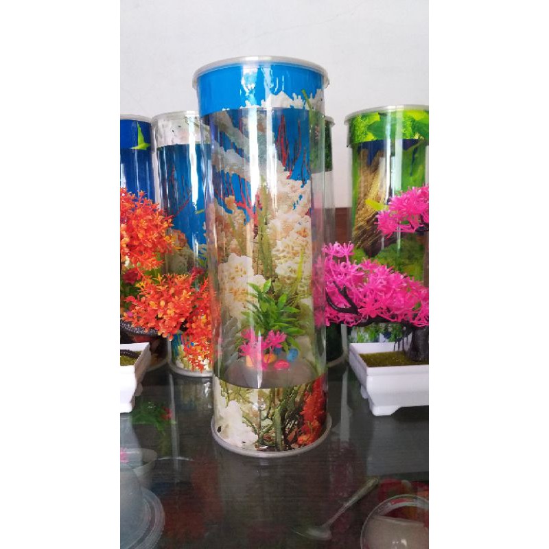 aquarium mini