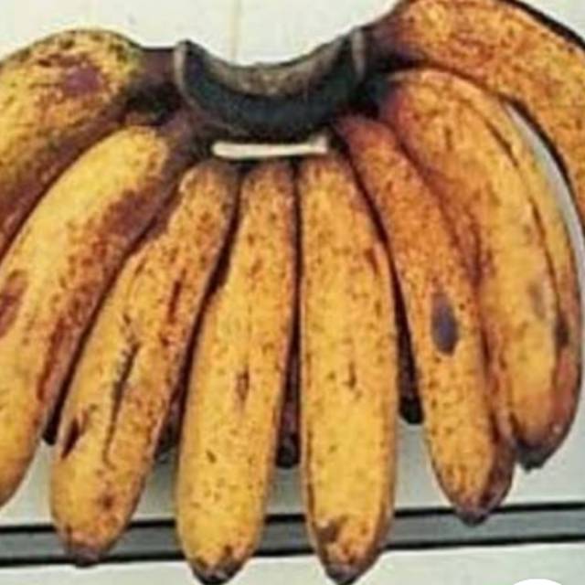 

Pisang barangan 1 sisir