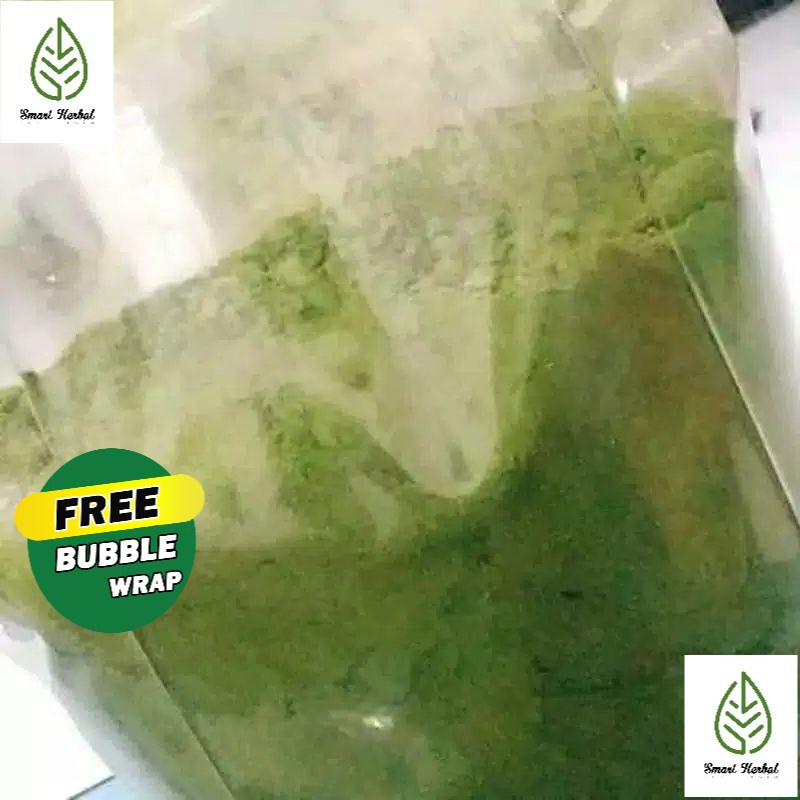 

BUBUK DAUN SAMBILOTO 500 GRAM