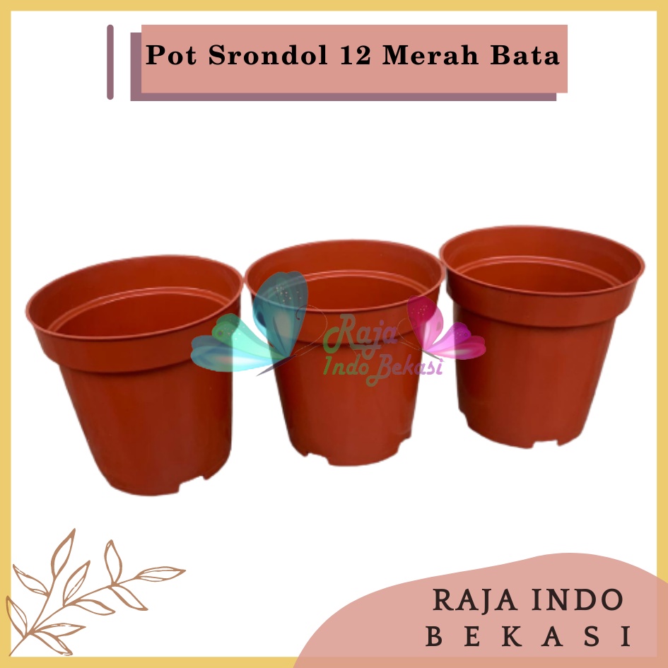 Pot Tinggi Srondol 12 Merah BataTerracota Terracotta Merah Coklat - Pot Tinggi Usa Eiffel Effiel 18 20 25 Lusinan Pot Tinggi Tirus 15 18 20 30 35 40 50 Cm Paket murah isi 1 lusin pot bunga plastik lusinan pot tanaman Pot Bibit Besar Mini Kecil Pot Srondol