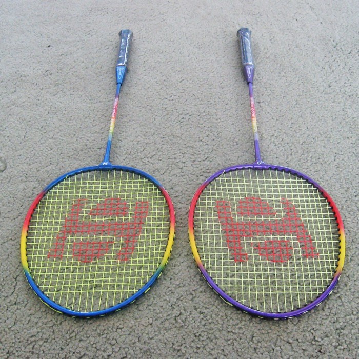 Raket Badminton Bulutangkis Batminton HART CALIBER 3000 RAINBOW