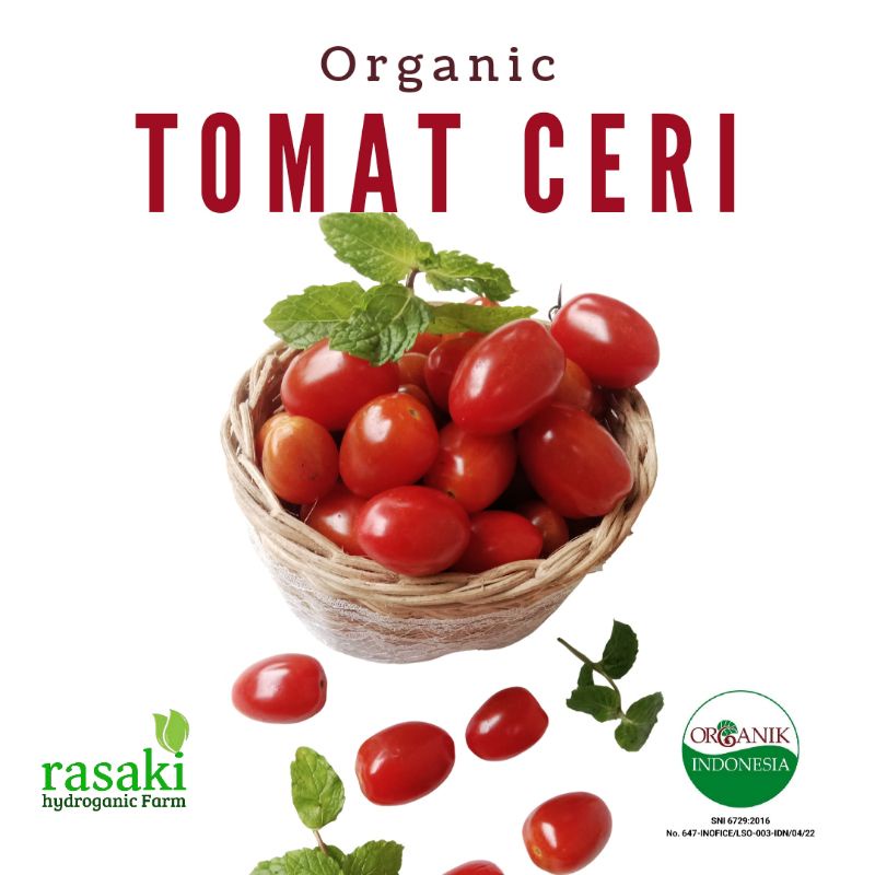

sayur segar buah tomat ceri organik 250gr rasaki