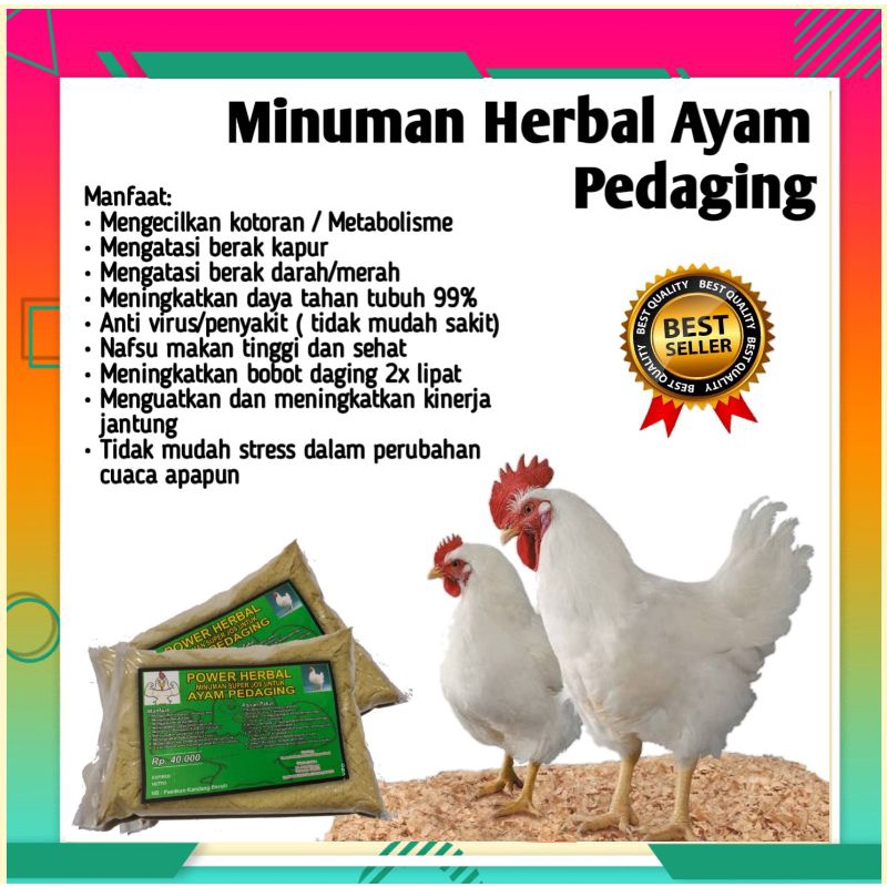 JAMU AYAM PEDAGING VITAMIN AYAM BROILER CEPAT GEMUK DAN SEHAT