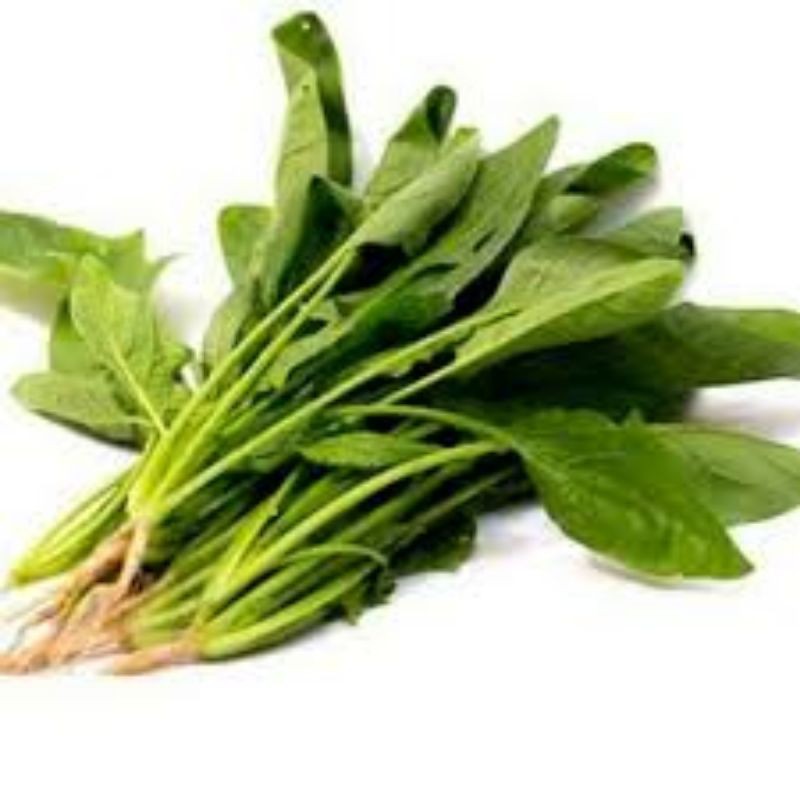 

HORENSO/BAYAM JEPANG/NIURAME