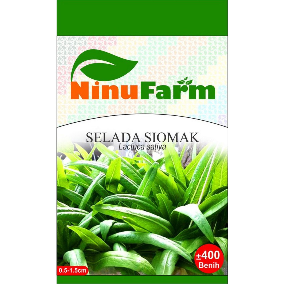 BIBIT SIOMAK / SELADA SIOMAK / NINUFARM / KEMASAN ASLI PABRIK