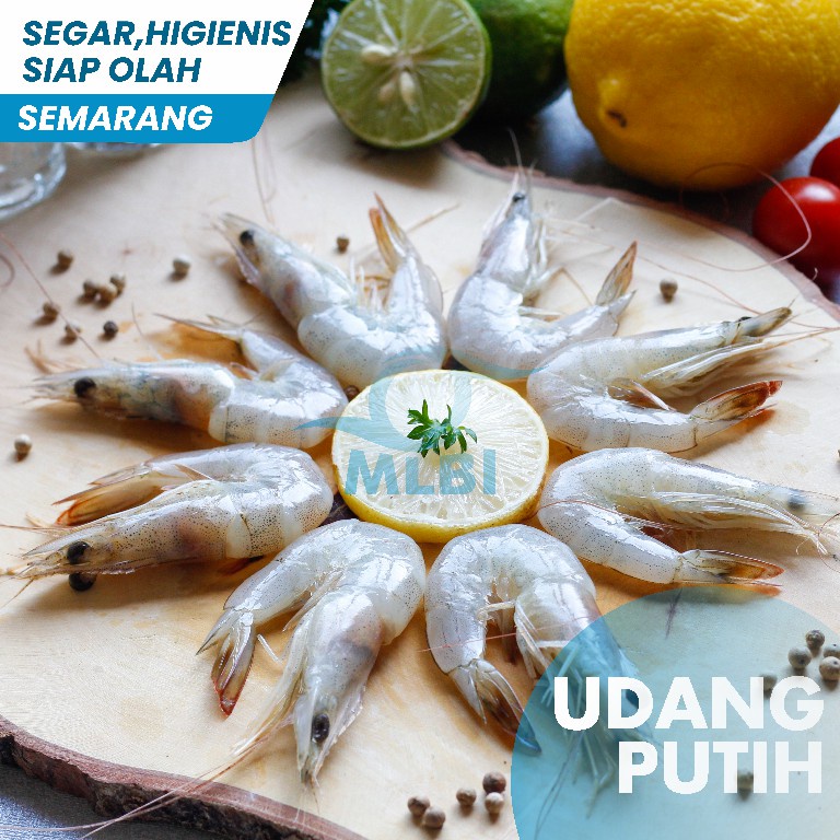 

Udang Promo Miring Vanamei Fresh FREE BOX
