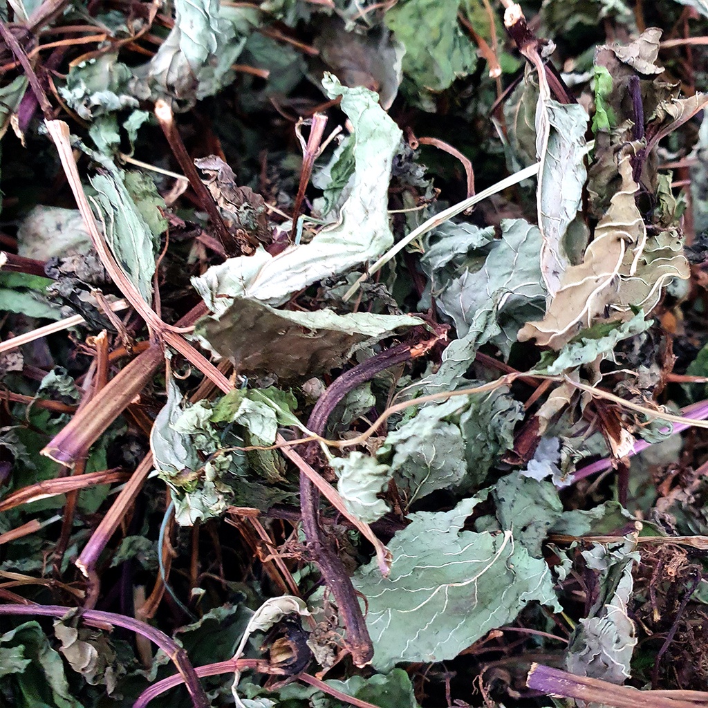 

Daun Mint Kering CACAH 1Kg