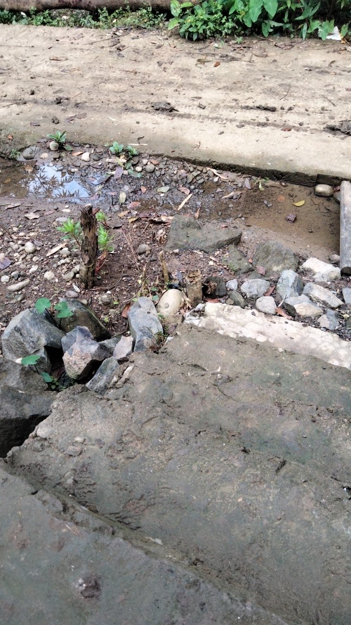 Daster Canela Brukat Kekinin || Daster Brukat || Daster Batik Pekalongan Maju