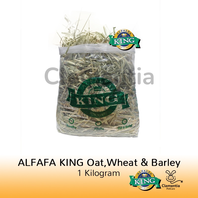 

Oat, Wheat & Barley 1kg by ALFALFA KING - Rumput Oat Repack 1 kg