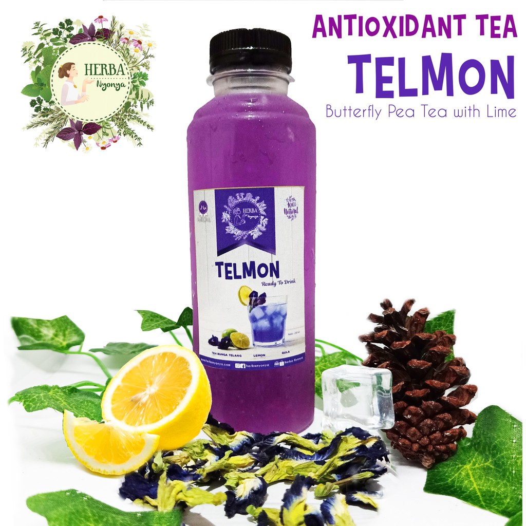 

Antoxydant Tea Teh Anti Oksidan Bunga Telang Lemon Blue Purple Tea Alami Menjaga Daya Tahan Tubuh