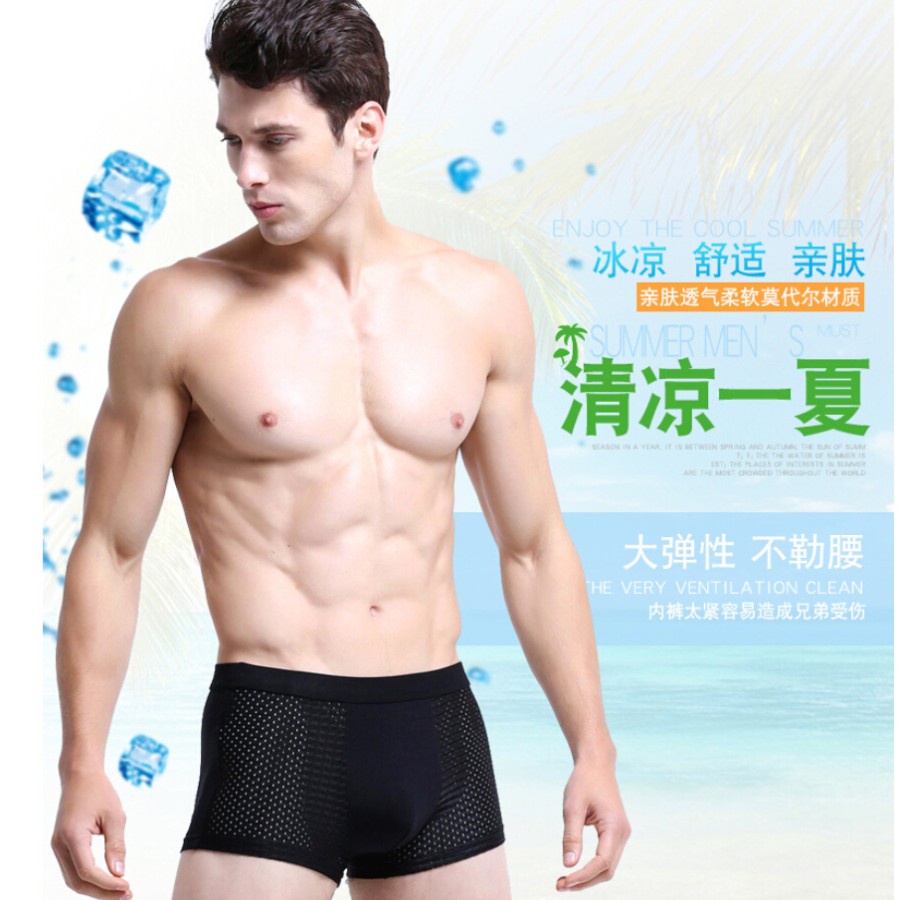 Celana Dalam Ice Silk Boxer Brief Pria - T73024