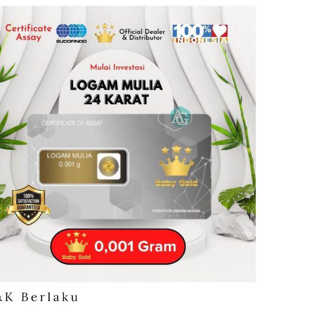 SOFT CASE CASING BOWIE E2 TWS