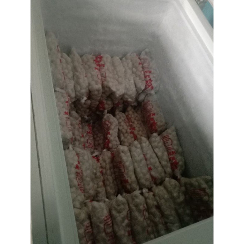 

Bakso ikan urat besar/10biji (isi daging) 100% halal dan enak