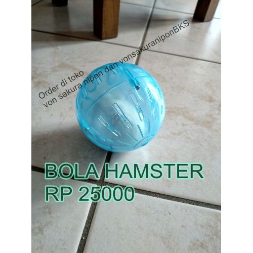 Mainan Bola hamster jogging wheel ball