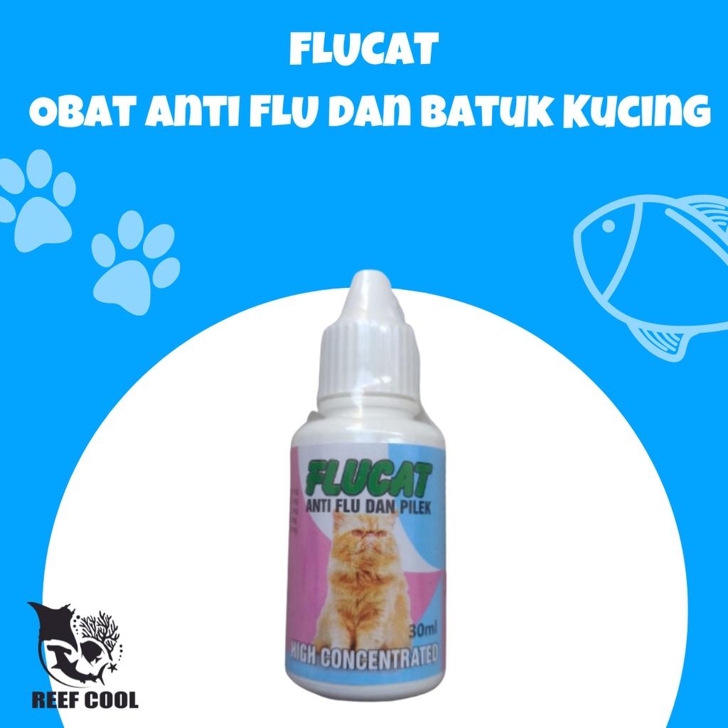 FLUCAT Obat Anti FLU dan Batuk Kucing