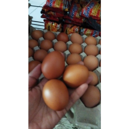 

telur grade a