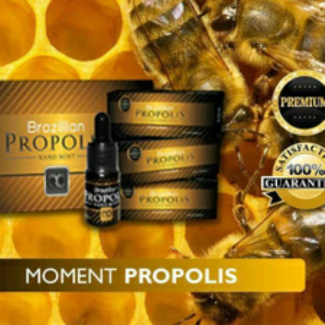 MOMENT PROPOLIS