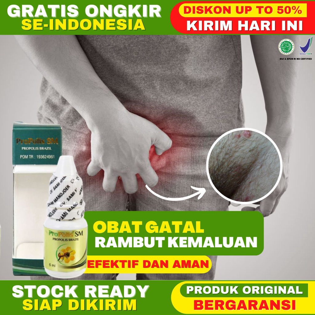 Obat Gatel Gatel di Rambut Kemaluan Kutu Rambut Kemaluan Infeksi Jamur Dermatitis Folikulitis Jerawa