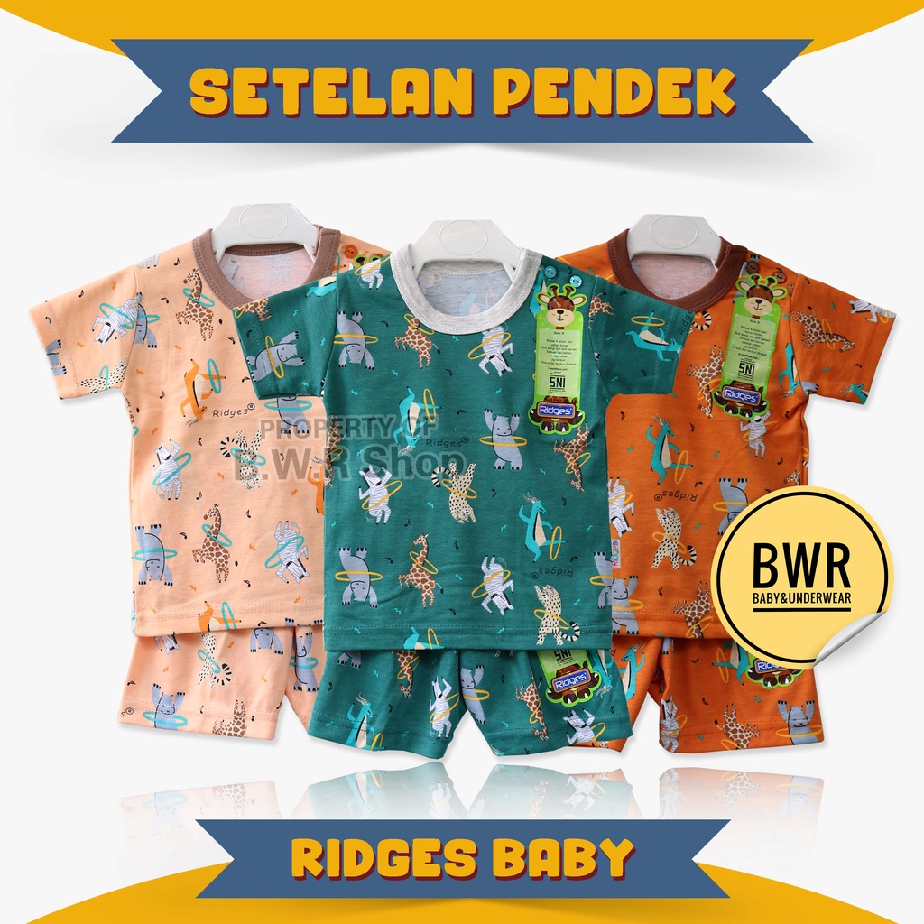 Setelan Ridges PENDEK RAINBOW CAT Terbaru / Setelan Anak Unisex Holaho Kaos Celana Pendek | Bwr