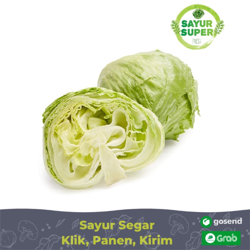 Jual Sayur Super Selada Kepala Lettuce Head 1kgpcs Shopee Indonesia