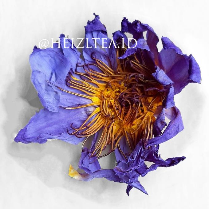 

[COD] Dried Blue Lotus Flower Bunga Lotus Biru Kering For Smoke and Tea [COD]