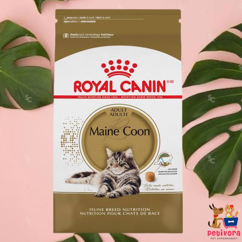Royal Canin Maine Coon Adult 2Kg