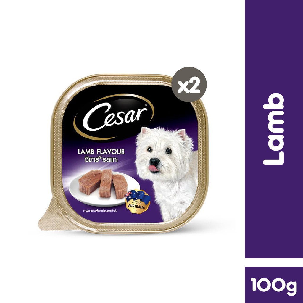 CESAR® Makanan Anjing Basah 100 g - Isi 2-Lamb