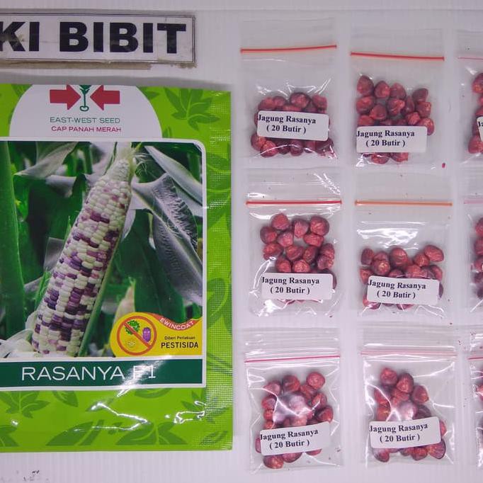 Buruan Beli] ( 20 Butir ) Benih Jagung Pulut ( Putih - Ungu )