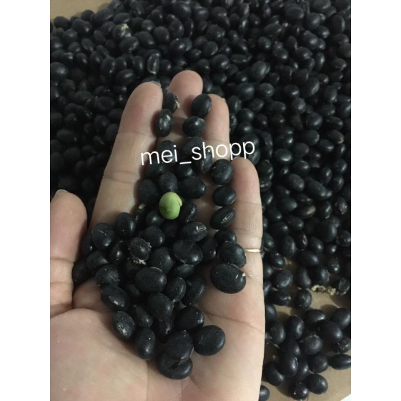 

Kacang hitam Premium impor malaysia (O’chi) 500gram