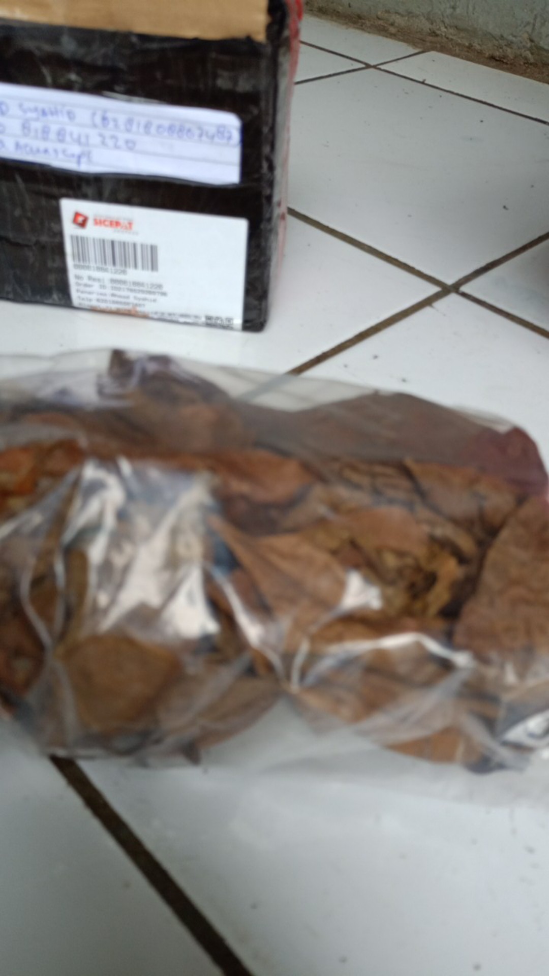 Daun Ketapang Merah Kering