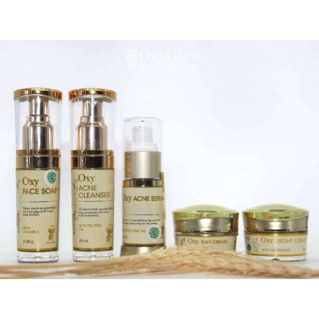 Paket Skincare Flek/Acne/Whitening OxyGlow Bonus Pouch Croco (Leather Bag)-1
