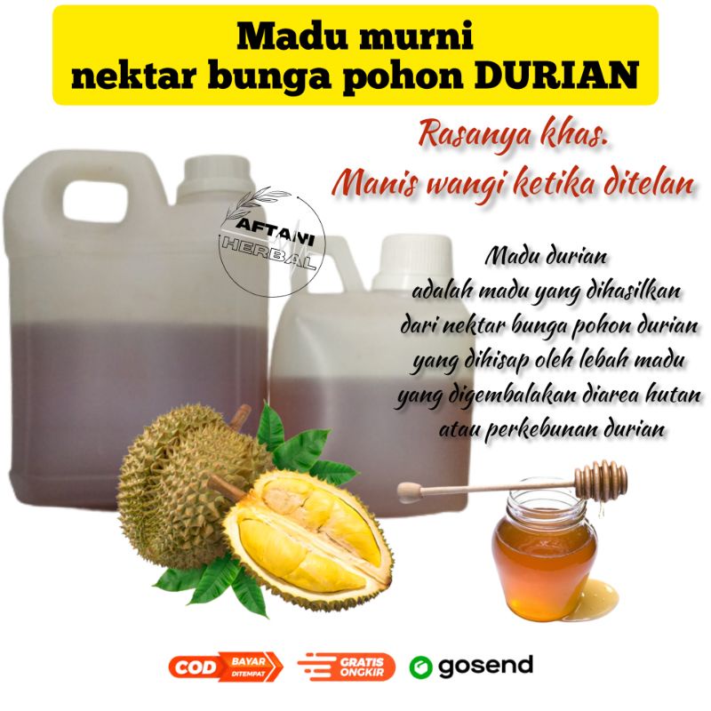 

MADU DURIAN - madu nektar pohon durian - madu murni - madu durian asli