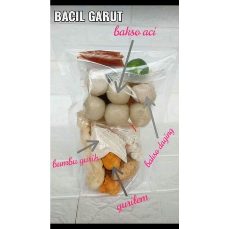 

bacil garut