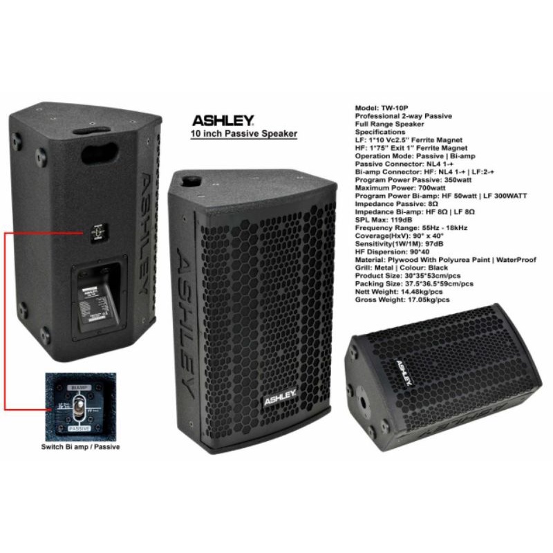 Speaker pasif Ashley TW10p/Ashley tw10p speaker 10 inch