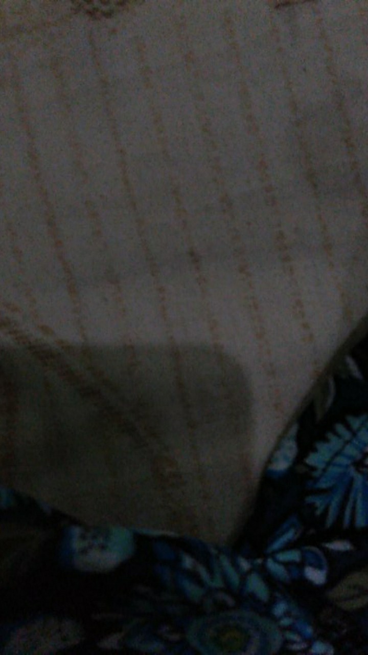 Wakul Tutup Besar  / Wakul Kubah Besar / Wakul Hajatan / Bakul Tutup Besar